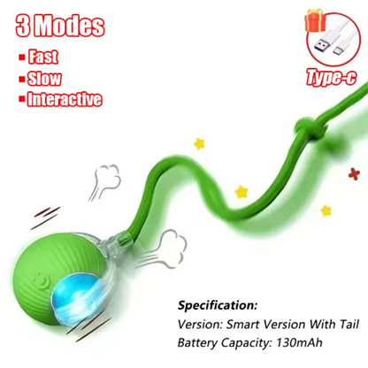 Cat Ball and Rope Toy