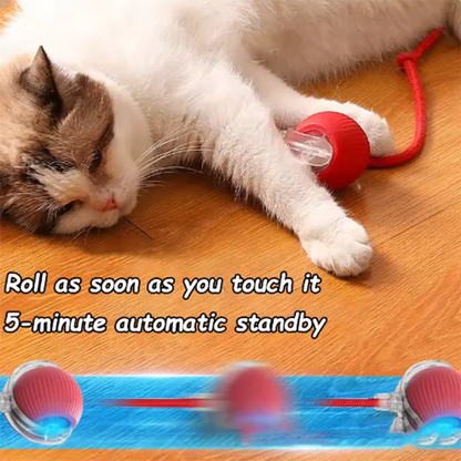 Cat Ball and Rope Toy