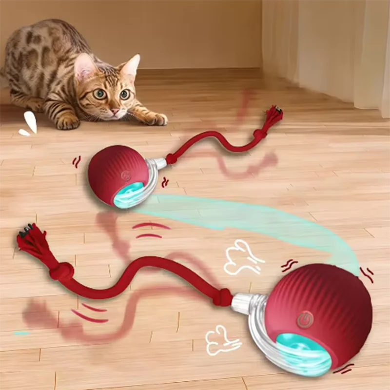 Cat Ball and Rope Toy