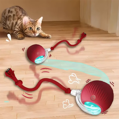Cat Ball and Rope Toy