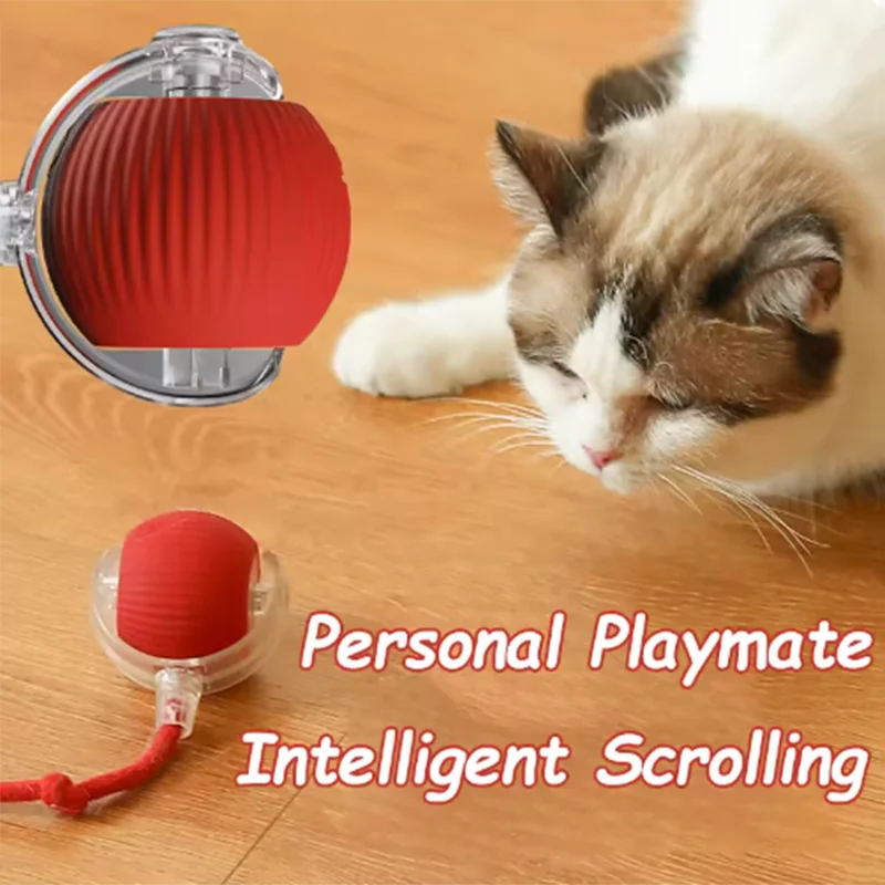 Cat Ball and Rope Toy