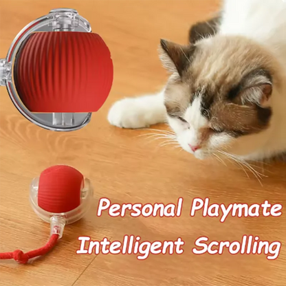 Cat Ball and Rope Toy